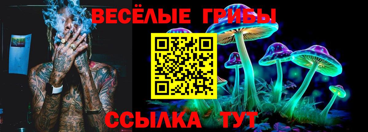 где купить наркоту  Галлюциногенные грибы прущие грибы  Галлюциногенные грибы ЛСД  Вход с VPN  Миасс 
